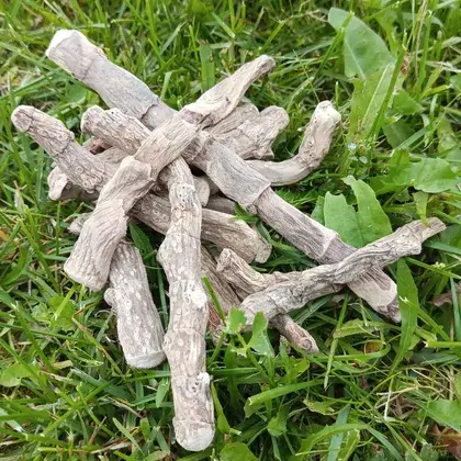 #3. Корни аира